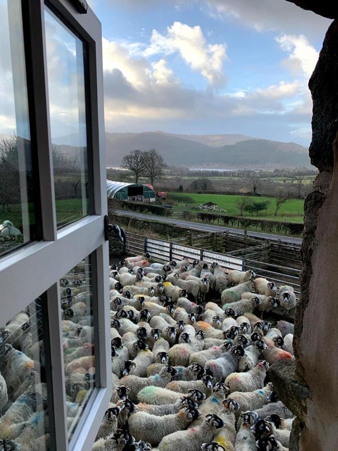Bed and Breakfast Highside Farm Bassenthwaite Zewnętrze zdjęcie