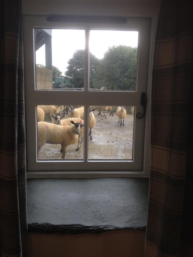 Bed and Breakfast Highside Farm Bassenthwaite Zewnętrze zdjęcie